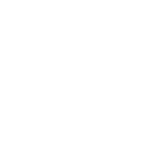 EminentSoft Logo